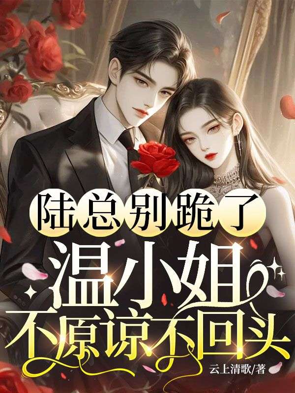 陆总别跪了，温小姐不原谅不回头：小说全集阅读无弹窗（温书棠陆言澈）附加+续集