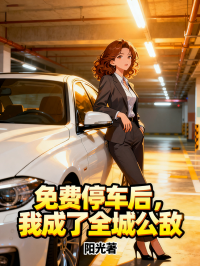 免费停车后，我成了全城公敌