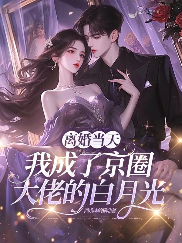 林蔓岑念雪小说:精彩后续+结尾《离婚当天，我成了京圈大佬的白月光》清爽版纯净阅读,全本资源
