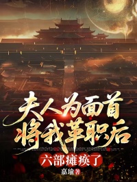 《夫人为面首将我革职后，六部瘫痪了》全本小说(沈墨卿叶娇鸾)全文免费版阅读最终篇章+外篇+续集