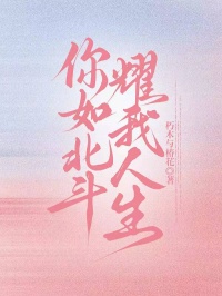 高口碑小说《你如北斗，耀我人生》全篇在线无广告阅读更顺畅,主角（高鹤鸣,关瑞琳）的精彩小说