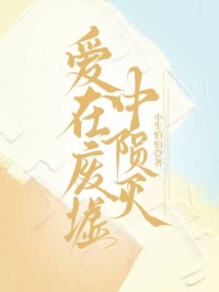 高口碑小说《爱在废墟中陨灭》全篇在线无广告阅读更顺畅,主角（沈砚,江棉棉）的精彩小说